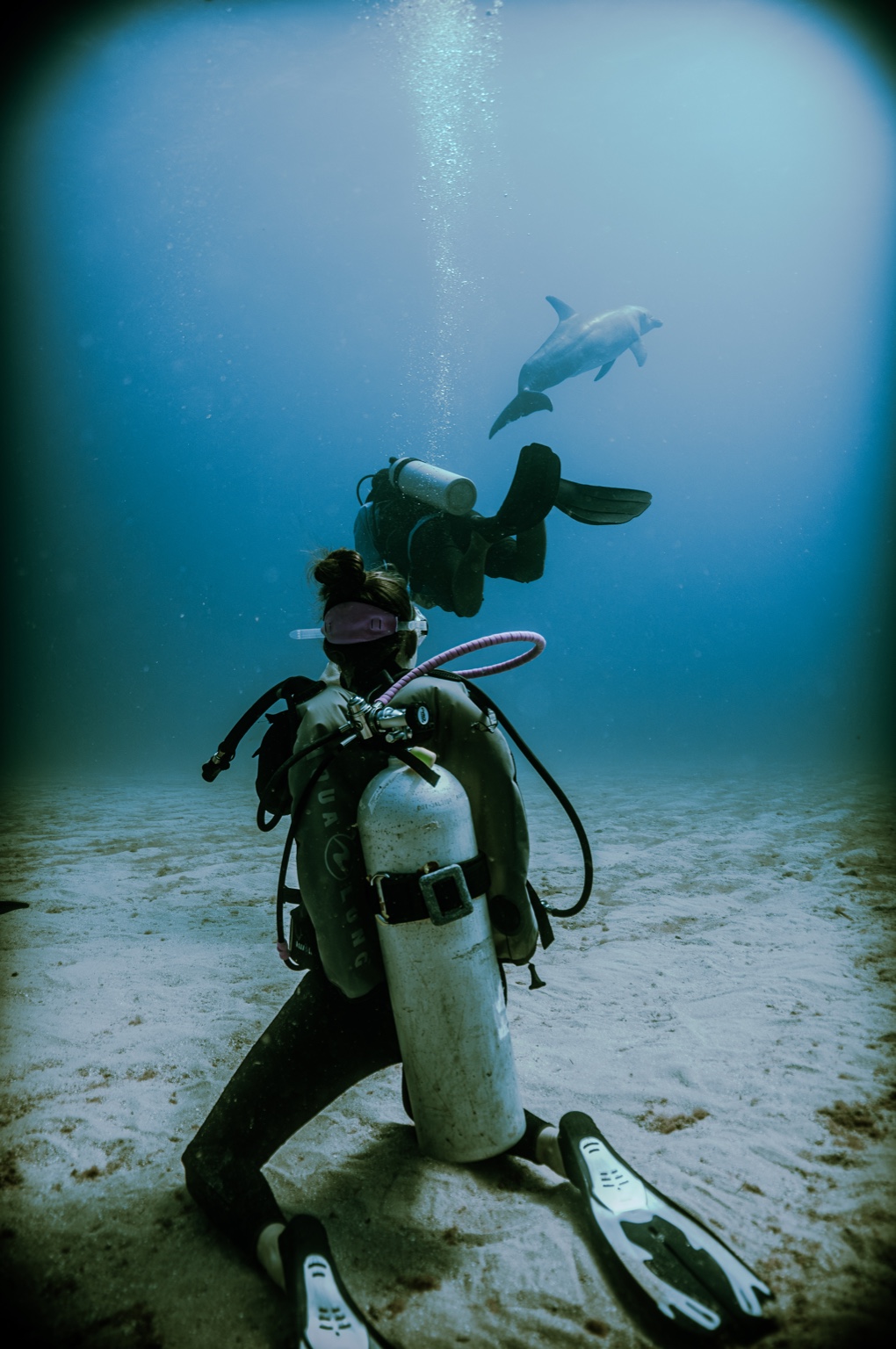 A diver kneeling on the ocean floor as a dolphin swims above